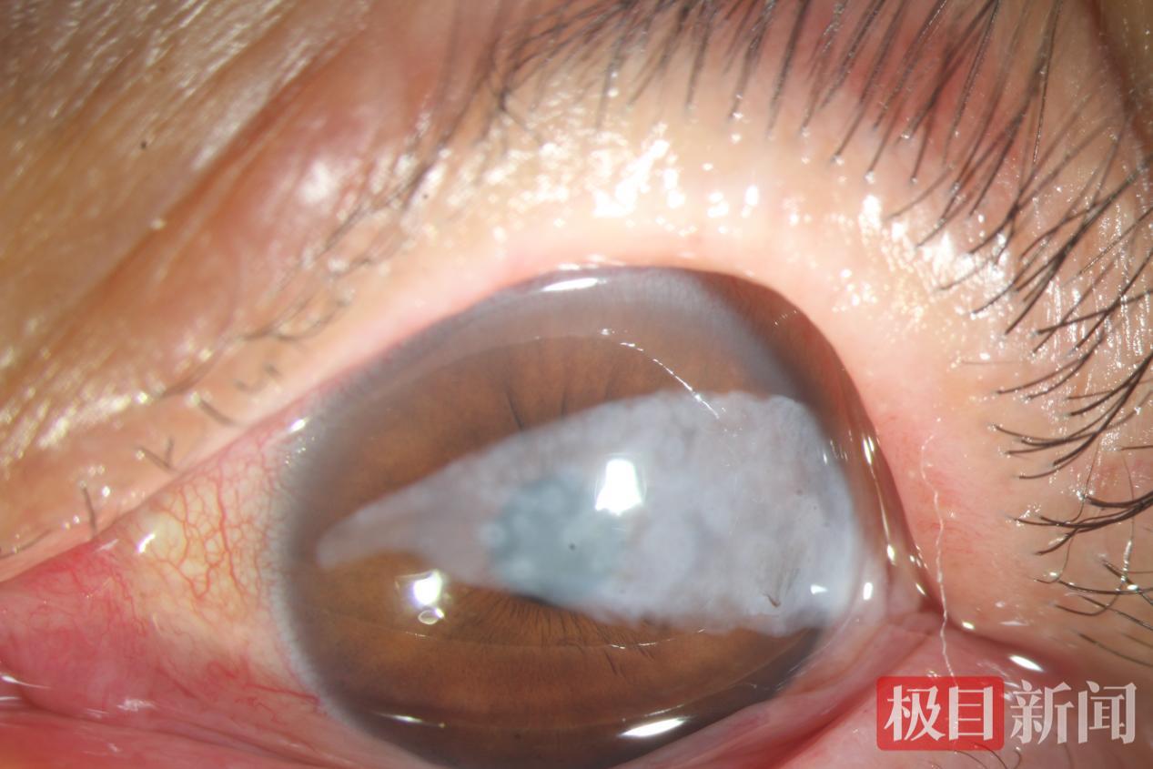 图片1.png 图片1.png