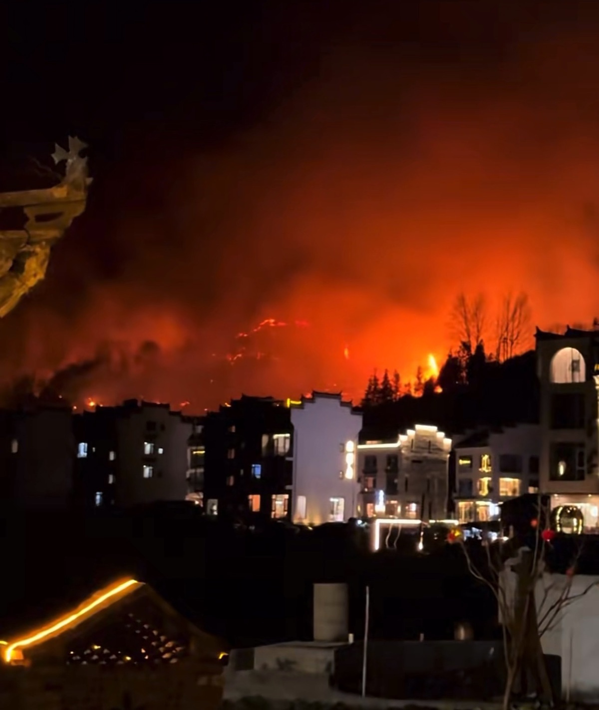 783E1F6D949403C1C7619A31C2533F07.png 783E1F6D949403C1C7619A31C2533F07.png