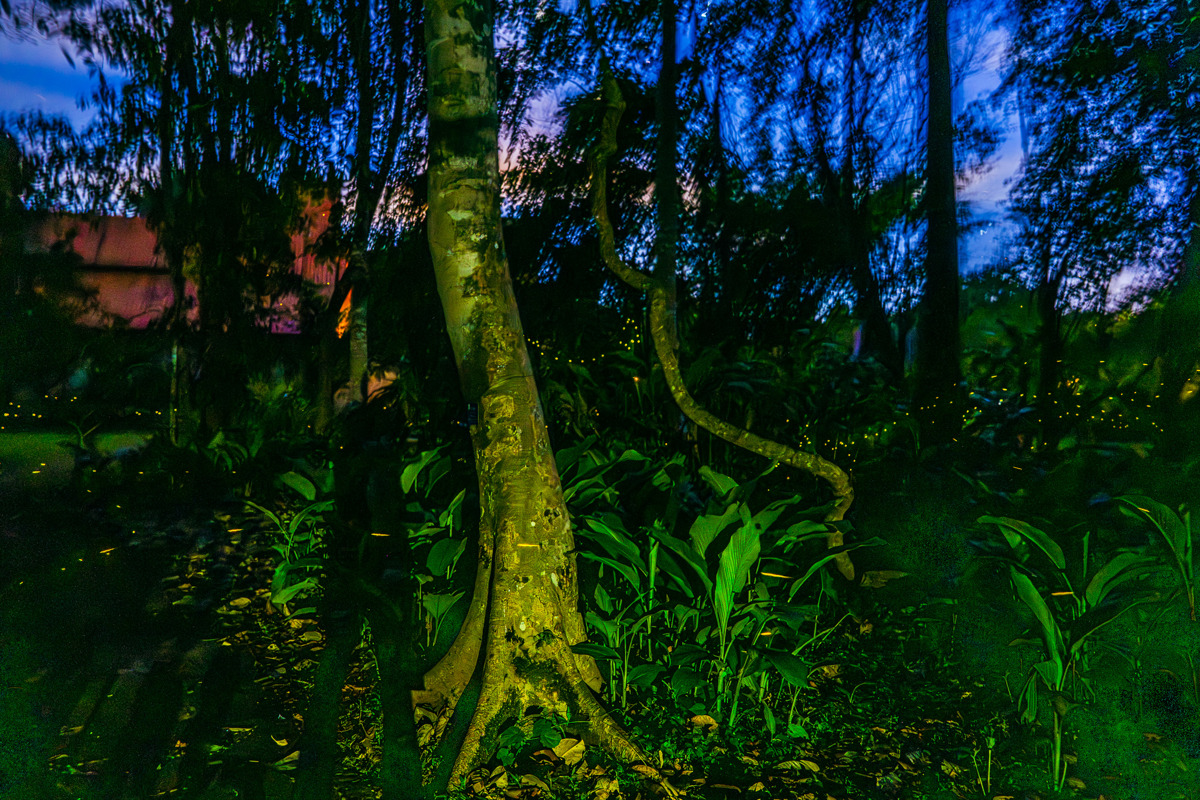 DSC01749-opq4676211845.jpg