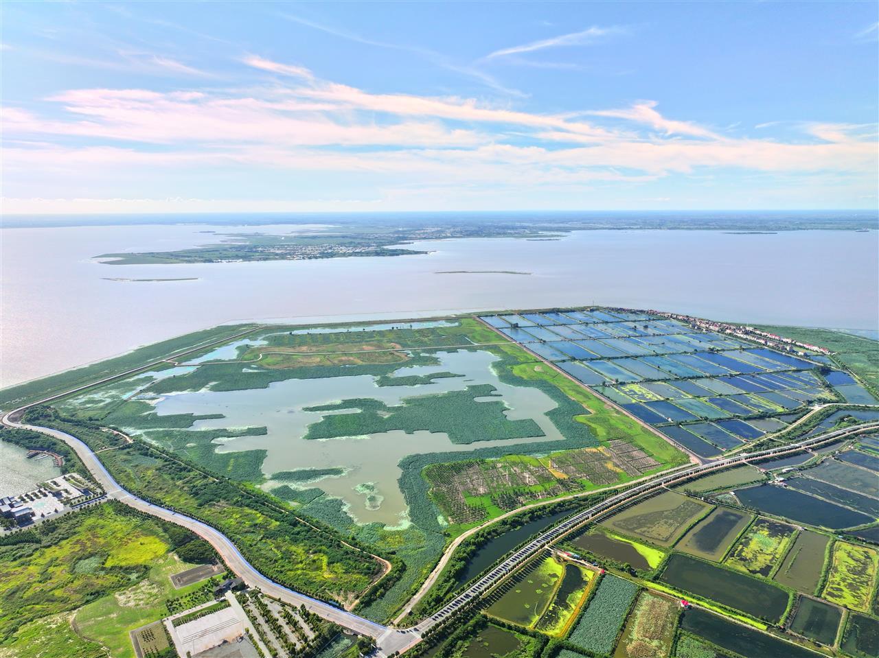金湾湿地 (2).jpg