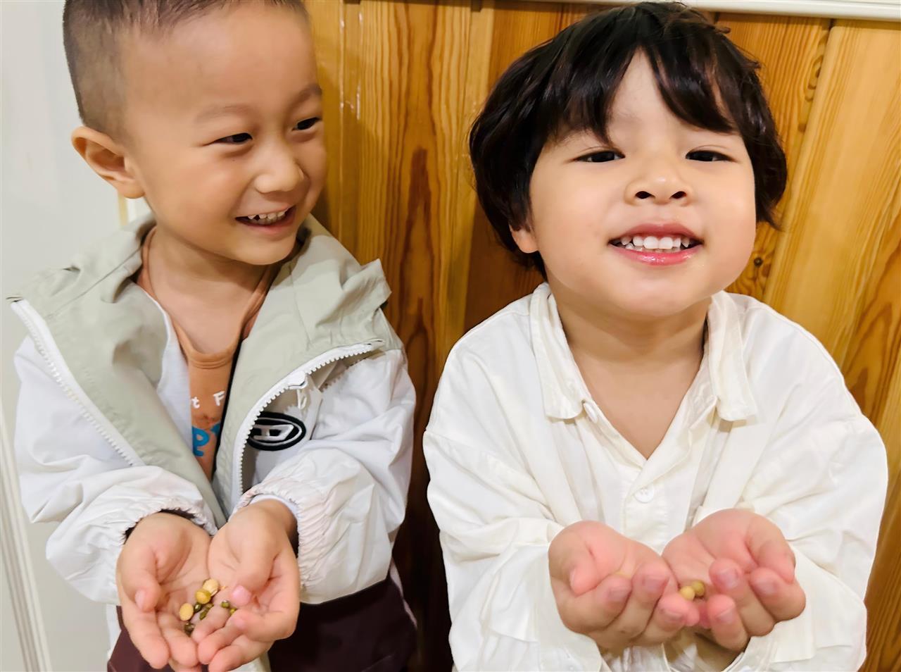 种子运输大比拼.jpg 种子运输大比拼.jpg