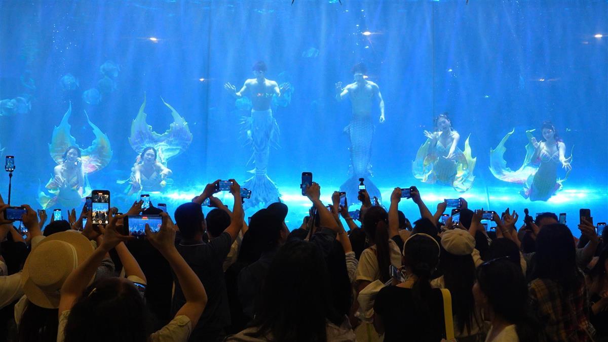 图片7.png 图片7.png