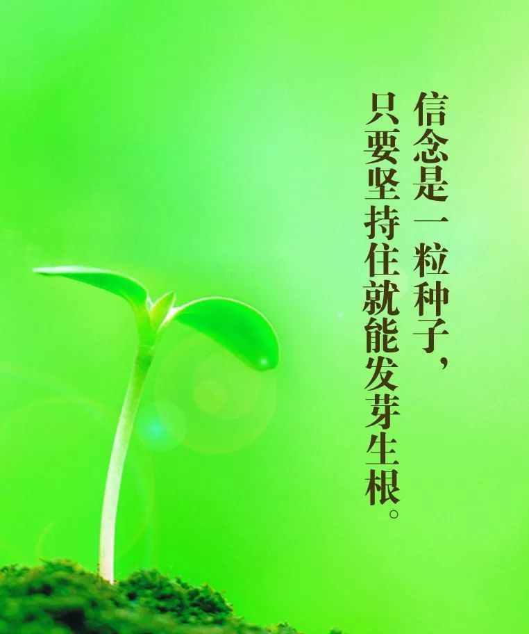 【6月28日】神评论|葡萄牙瞄准明年世界杯 | 极目新闻