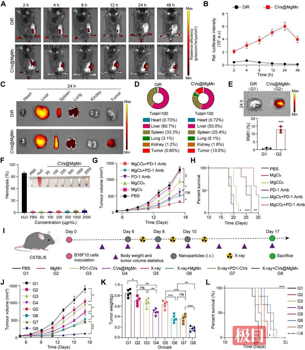 图片3.jpg 图片3.jpg
