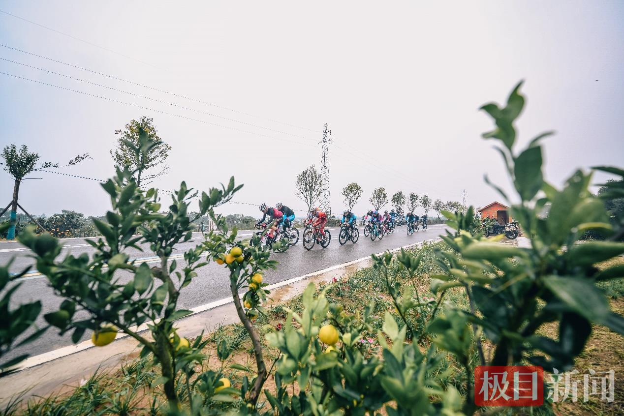 图片4.jpg 图片4.jpg