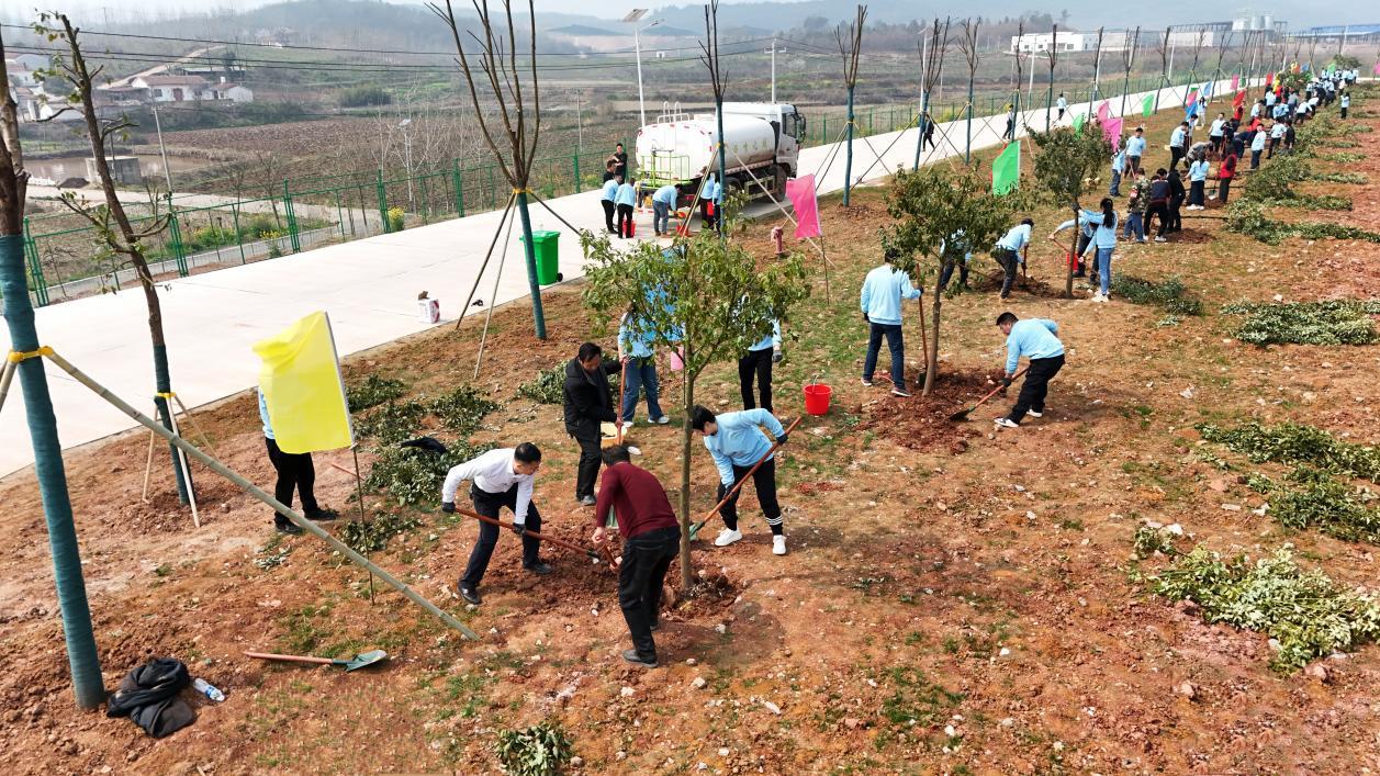 图片2.png 图片2.png