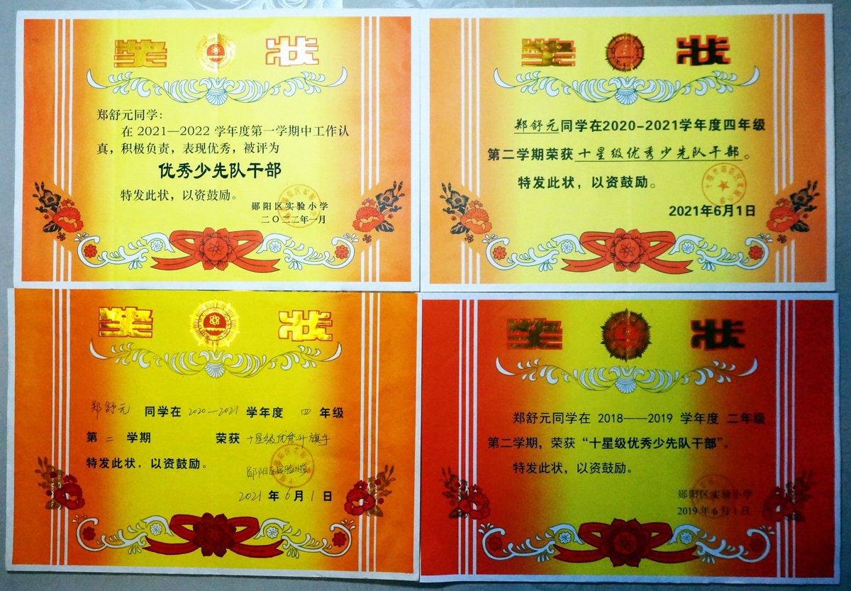 DSC08060图为11岁的郑书元荣获的奖状。.jpg