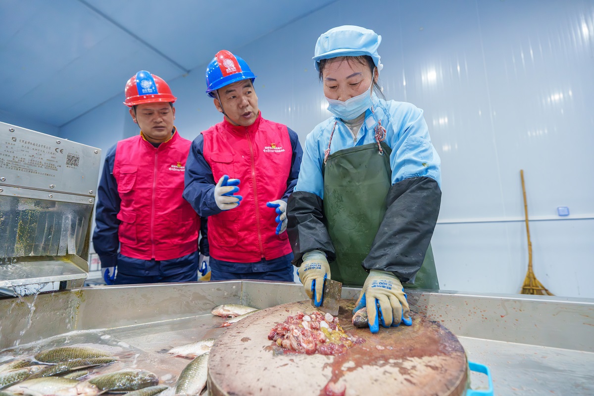 2026年02月03日,武汉供电公司员工肖铁 黄胜刚服务水产冷链企业-16.jpg 2026年02月03日,武汉供电公司员工肖铁 黄胜刚服务水产冷链企业-16.jpg