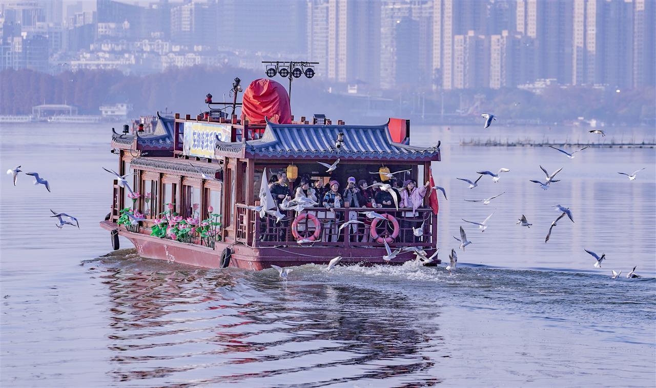 1374731_成群的红嘴鸥飞翔在东湖湖面上_25.jpg 1374731_成群的红嘴鸥飞翔在东湖湖面上_25.jpg