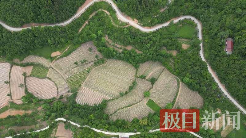 图片13.png 图片13.png