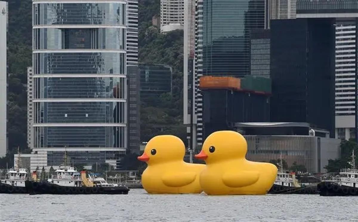 重返香港的"大黄鸭""热爆"了?