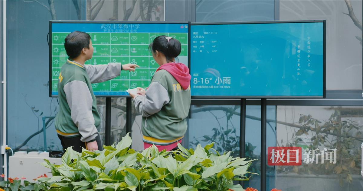 智慧生态园2.JPG 智慧生态园2.JPG