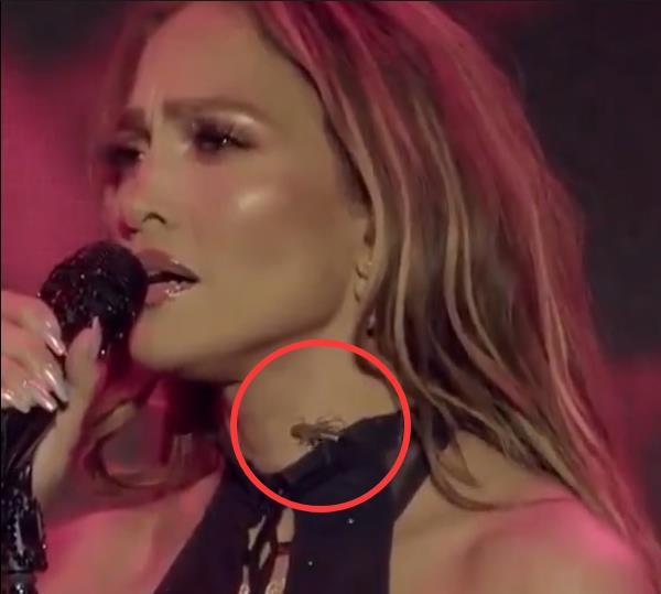 QQ_1754987146047.png QQ_1754987146047.png