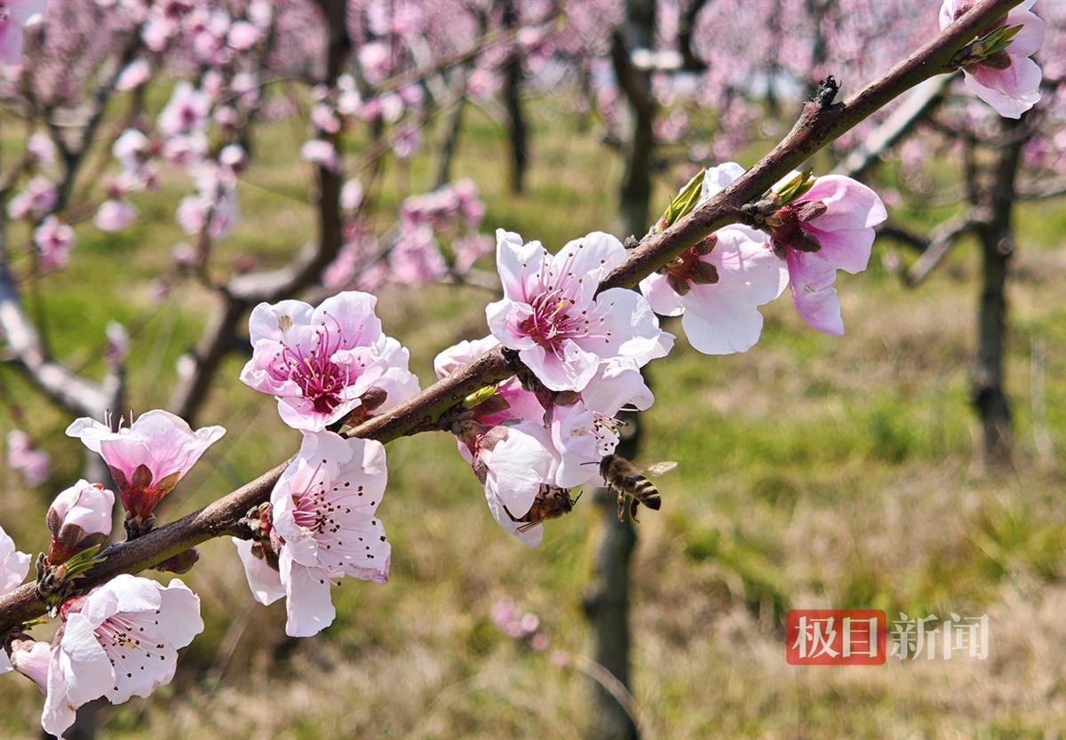 微信图片_20250325143032.jpg 微信图片_20250325143032.jpg