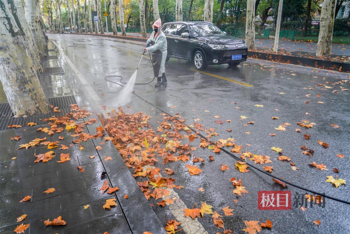 刮风下雨致落叶增多，环卫工清扫忙 | 极目新闻