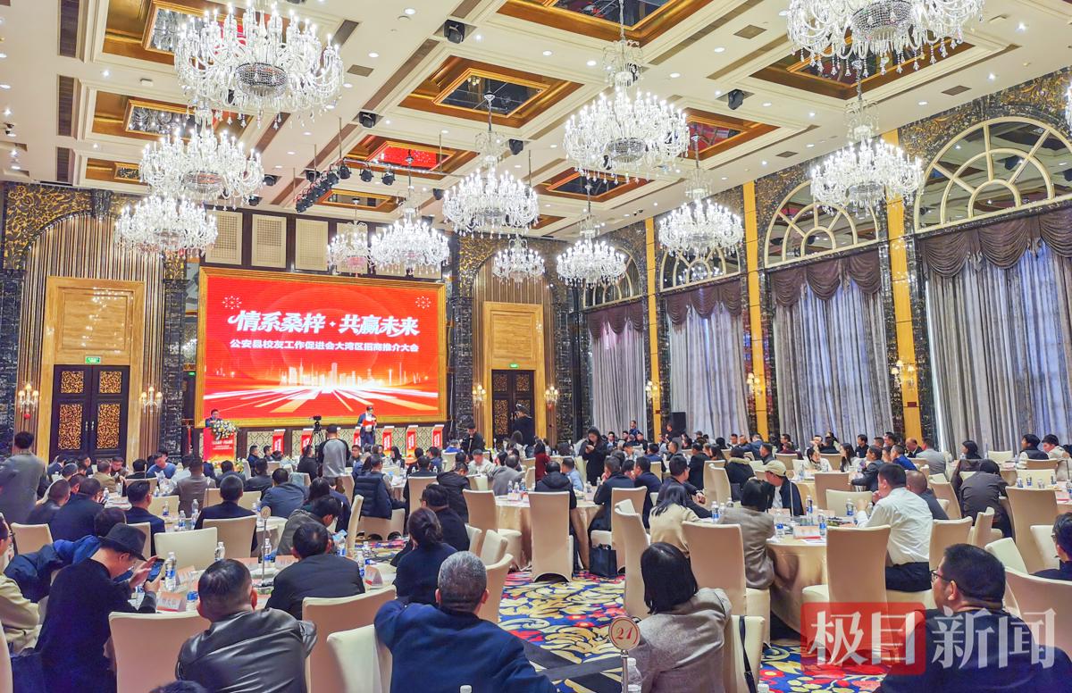 1月10日，湖北省公安县校友工作促进会大湾区招商推介会在广州市番禺区举行，在粤港澳大湾区创业打拼的200多名公安籍老乡，以及商会代表、各界企业家代表等欢聚一堂，共谋合作发展大计。（极目新闻记者 黄志刚 摄）.jpg