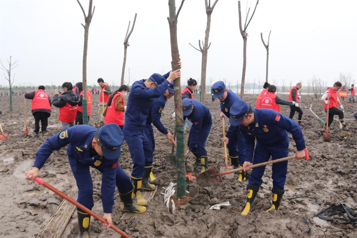 洪湖岸边植树忙，湖北洪湖消防组织参加植树活动共护生态屏障 | 极目新闻