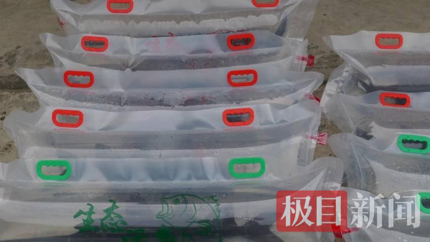 图片11.png 图片11.png