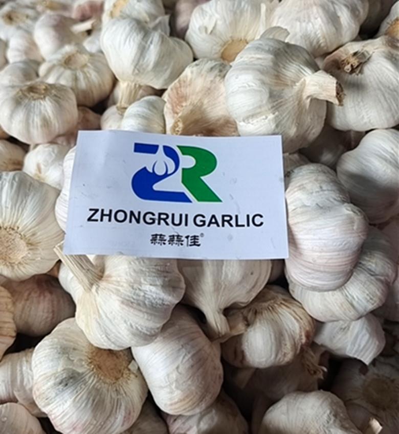 1697249973218864.jpg 1697249973218864.jpg