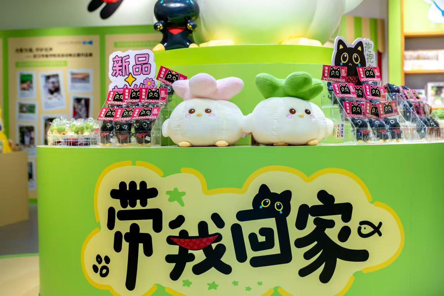 蒜鸟+动物保护,“带我回家”快闪店亮相江城