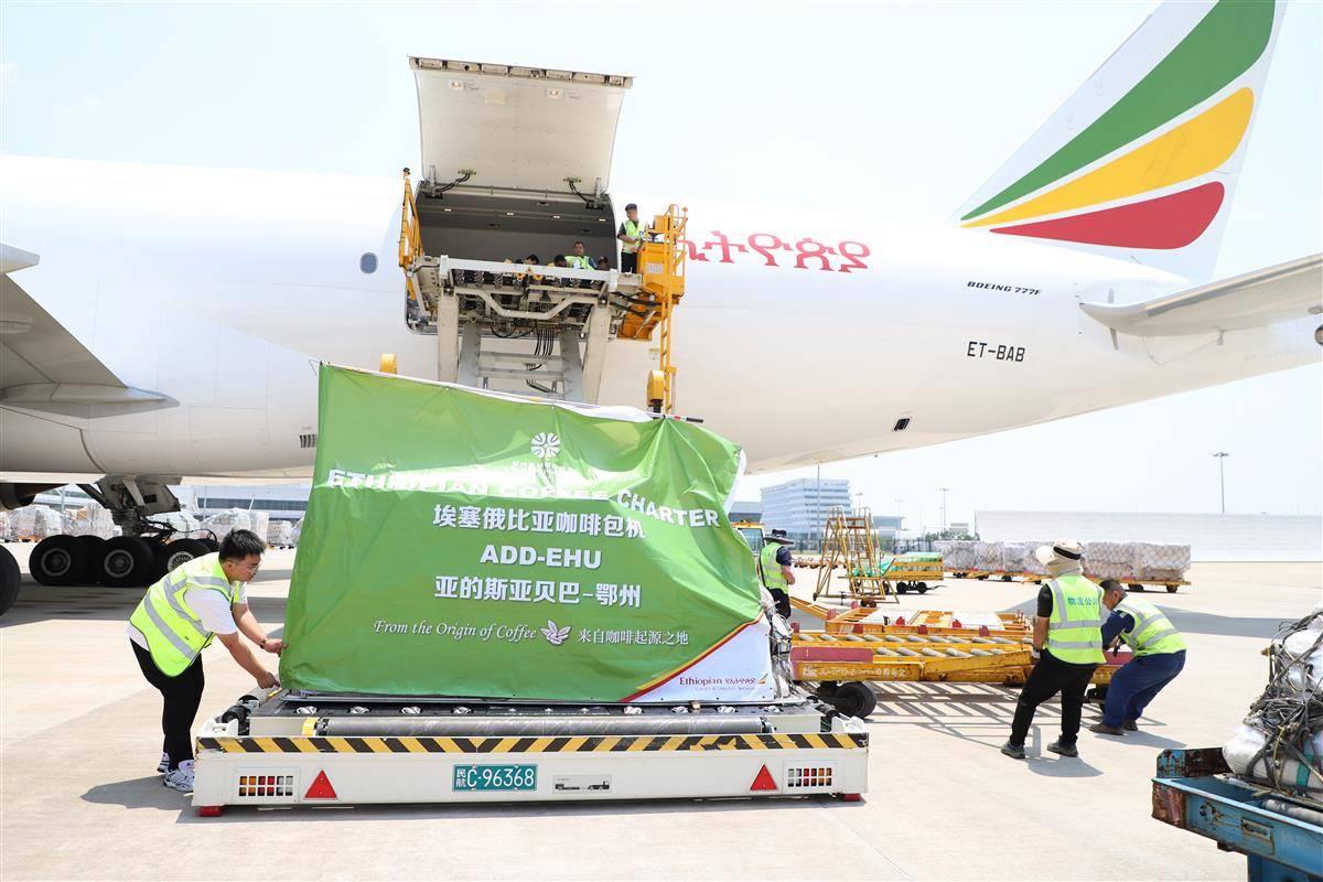 咖啡豆航班 (1).jpg