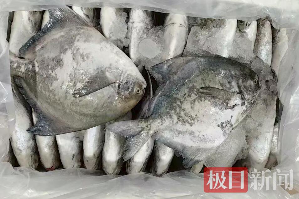 微信图片_20251021153341_526_210.png 微信图片_20251021153341_526_210.png