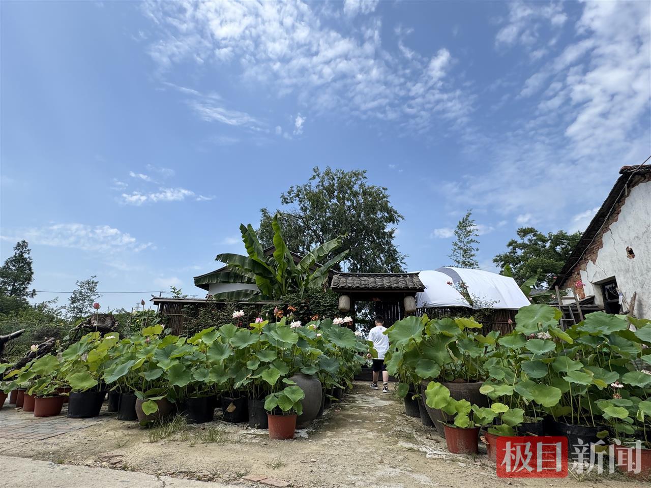为支持女儿的摄影事业，父亲亲手打造出90平米古风小院