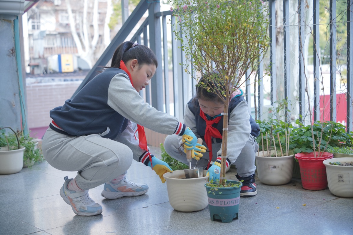 惠济路小学学生使用领到的园艺工具为校园花草松土.jpg