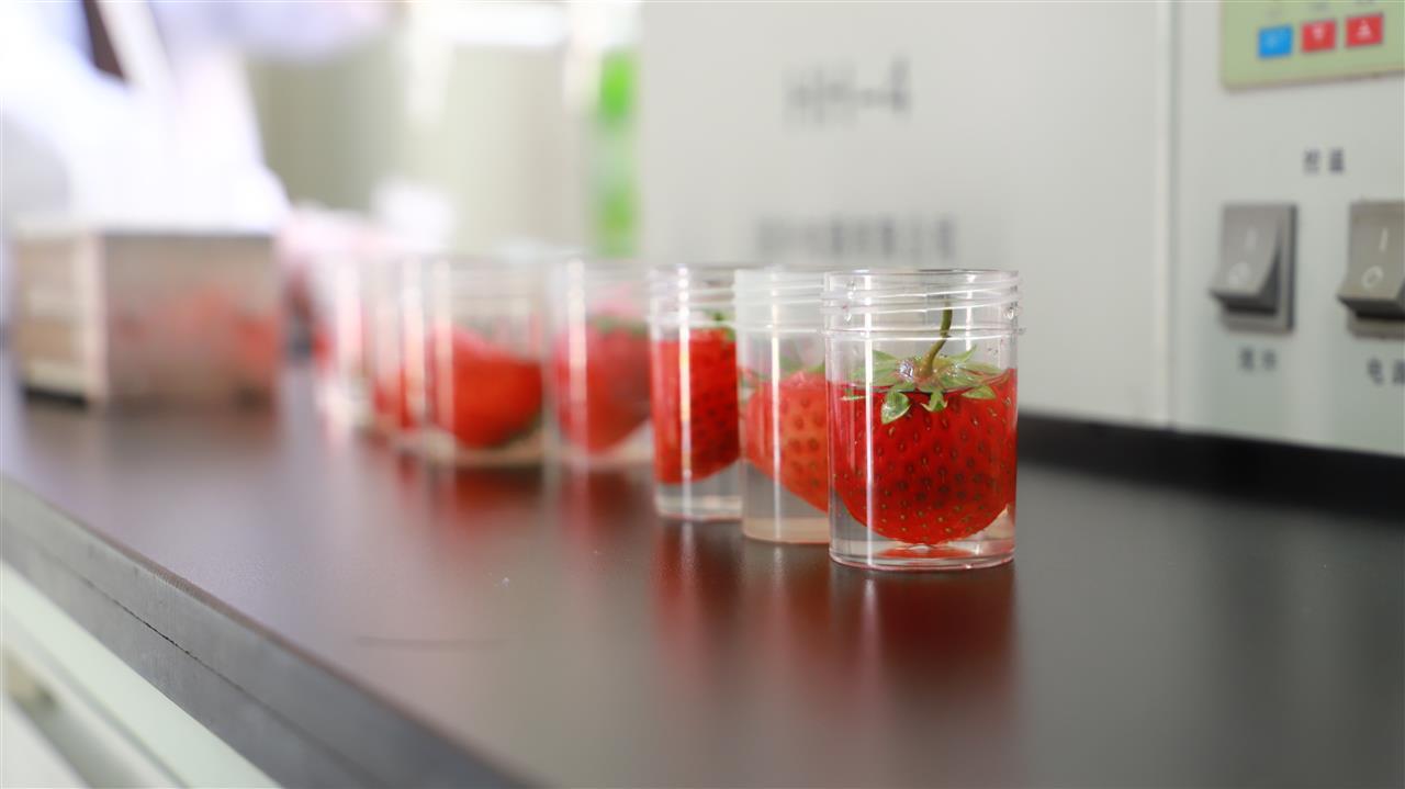 cb202501211744123498111xm0.jpg cb202501211744123498111xm0.jpg