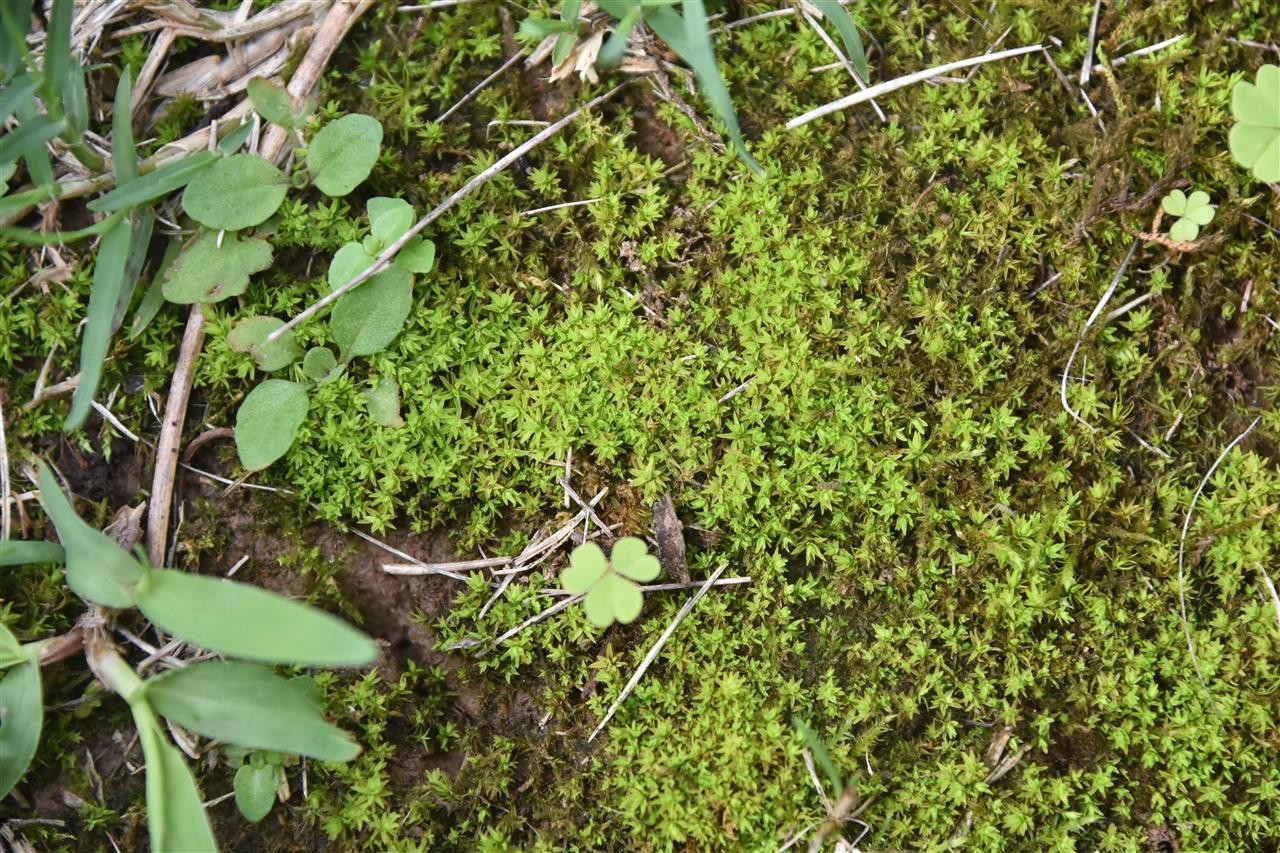 9badac9e06d0ee3c4a466a3f3ceaa4a.jpg 9badac9e06d0ee3c4a466a3f3ceaa4a.jpg