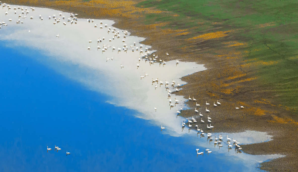 黄石天鹅湾 黄石市自然资源和城乡建设局供图.jpg