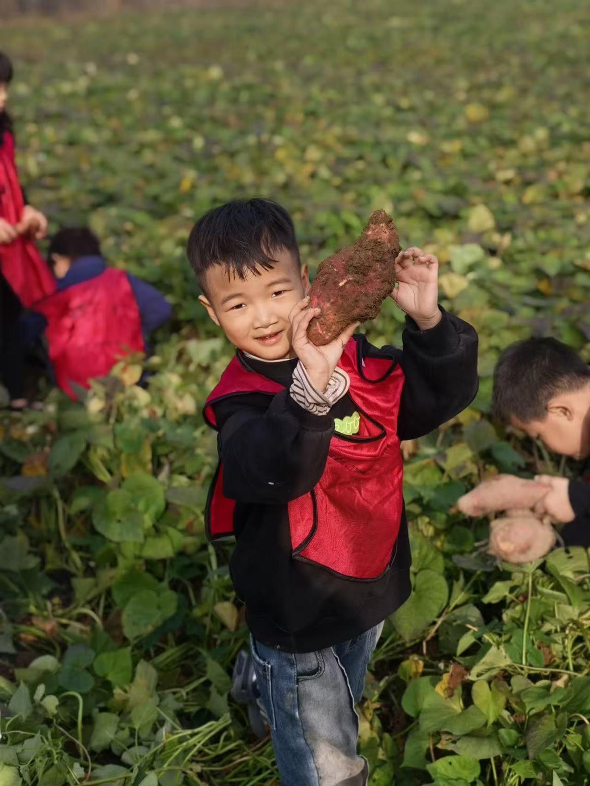 mmexport1762222277263.jpg mmexport1762222277263.jpg