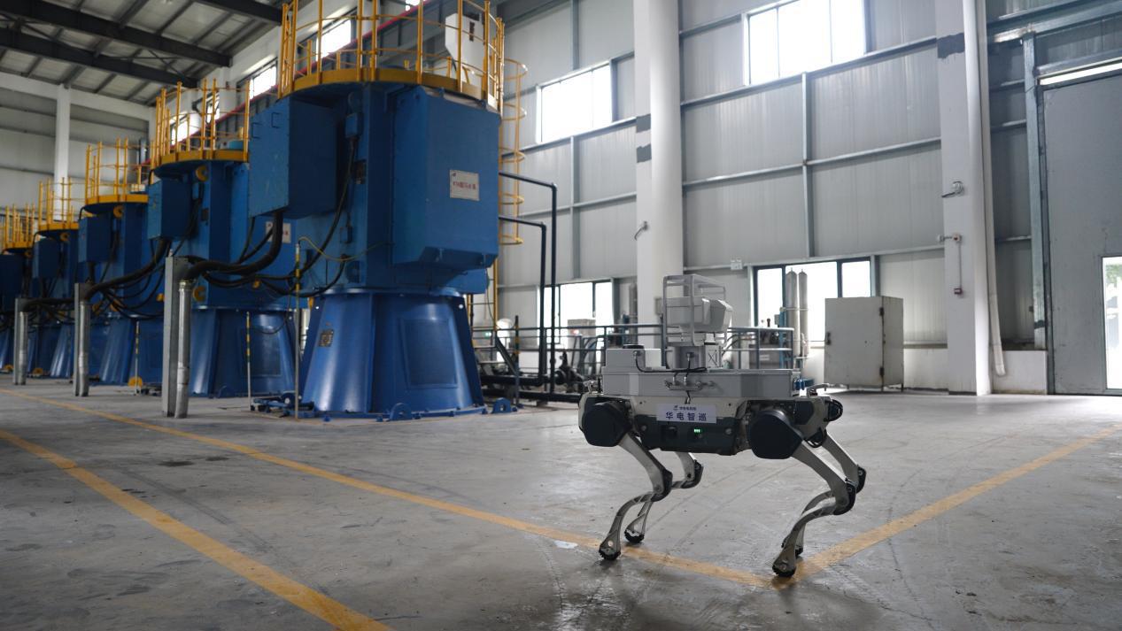 20260303_175111.jpeg 20260303_175111.jpeg