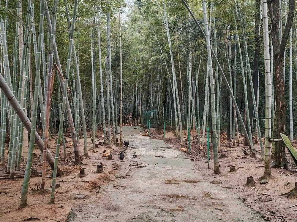 E6F03E595E1B9ACBD9F2592103DBF147.png E6F03E595E1B9ACBD9F2592103DBF147.png