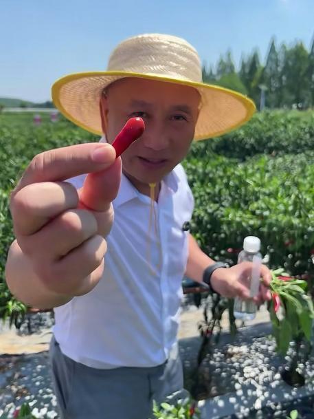 图片1.png 图片1.png