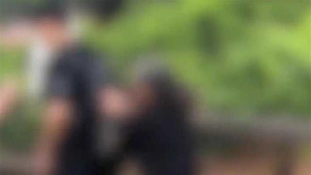极目锐评丨游客私摘枇杷被农户索赔100元一个？说“私摘”真是留了颜面