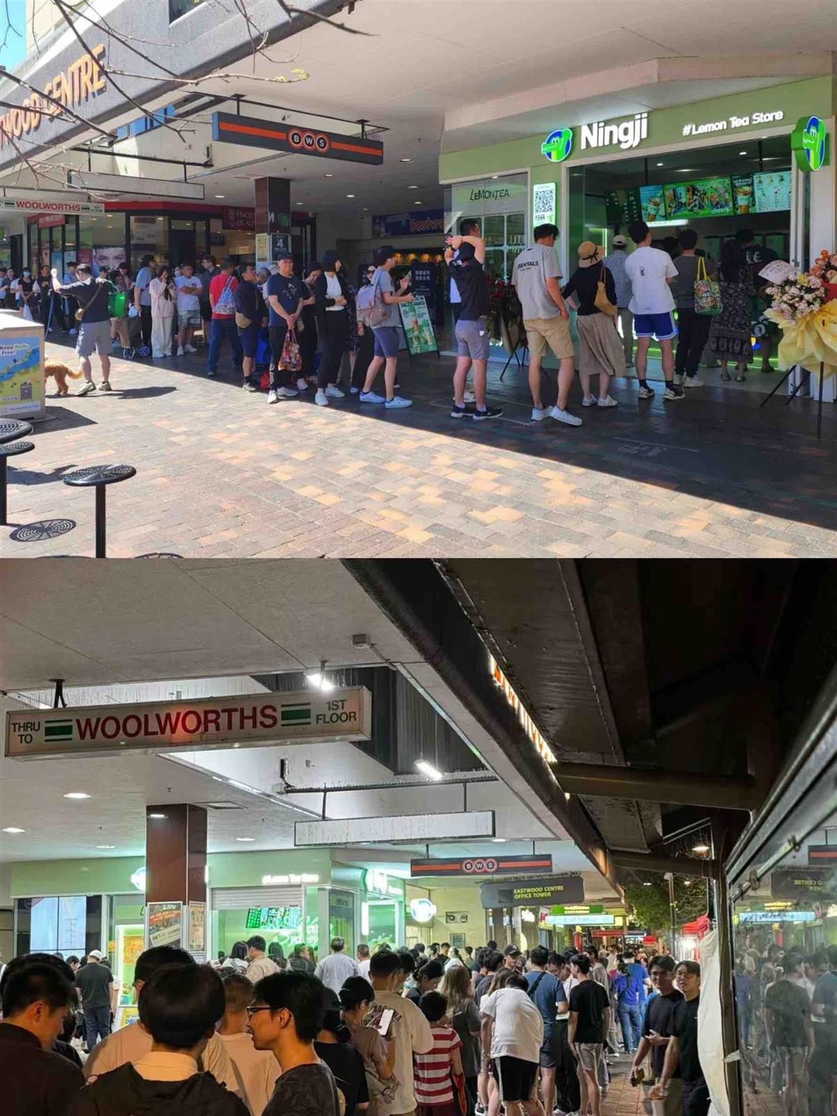 柠季悉尼首店门店排队盛况.png