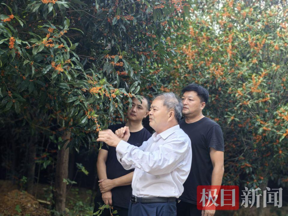 29C365E7046E57F1A55F82ACD295452D.jpg 29C365E7046E57F1A55F82ACD295452D.jpg