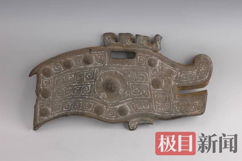 一头3000年前的猪将赴美展出，它向世界传递巴土之声 | 极目新闻