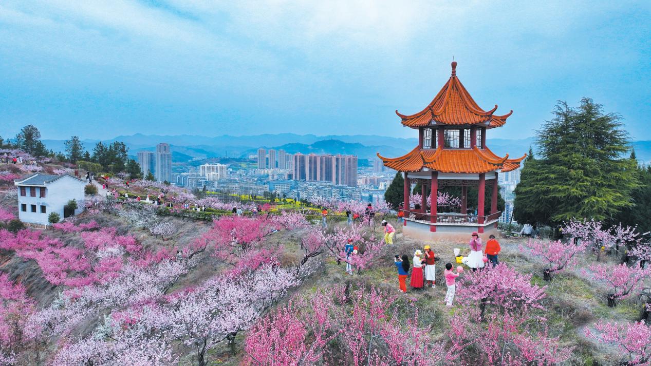图为郧西县天河风景区桃花岭游人赏花打卡。 郧轩文摄.png