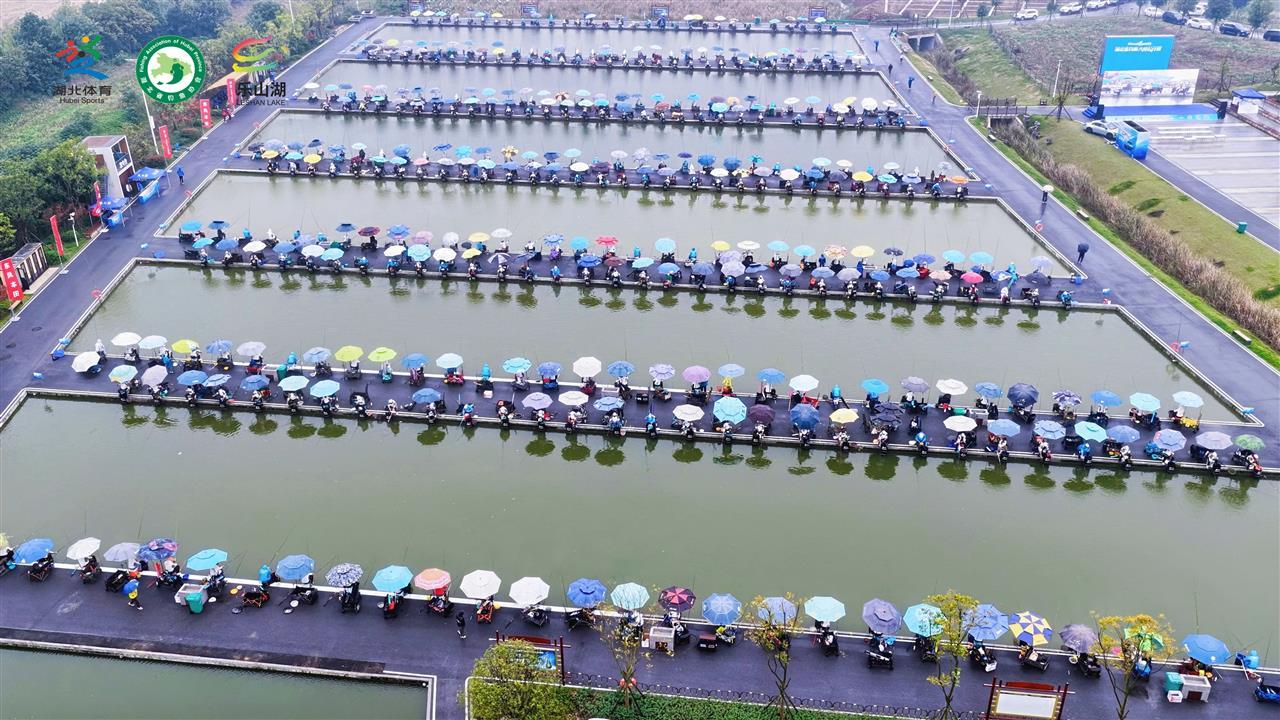 mmexport1761384653704.jpg mmexport1761384653704.jpg