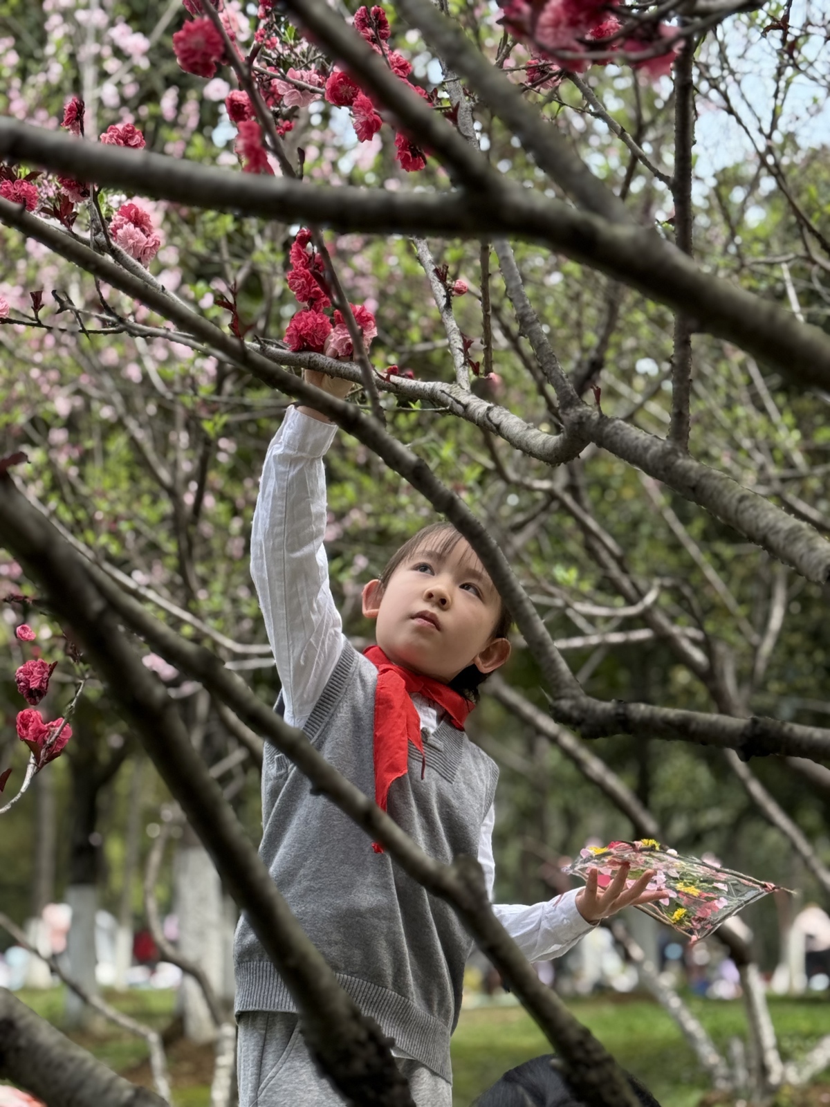 6bd9e7e240540c4c8d1cc20d796508f8.jpg 6bd9e7e240540c4c8d1cc20d796508f8.jpg