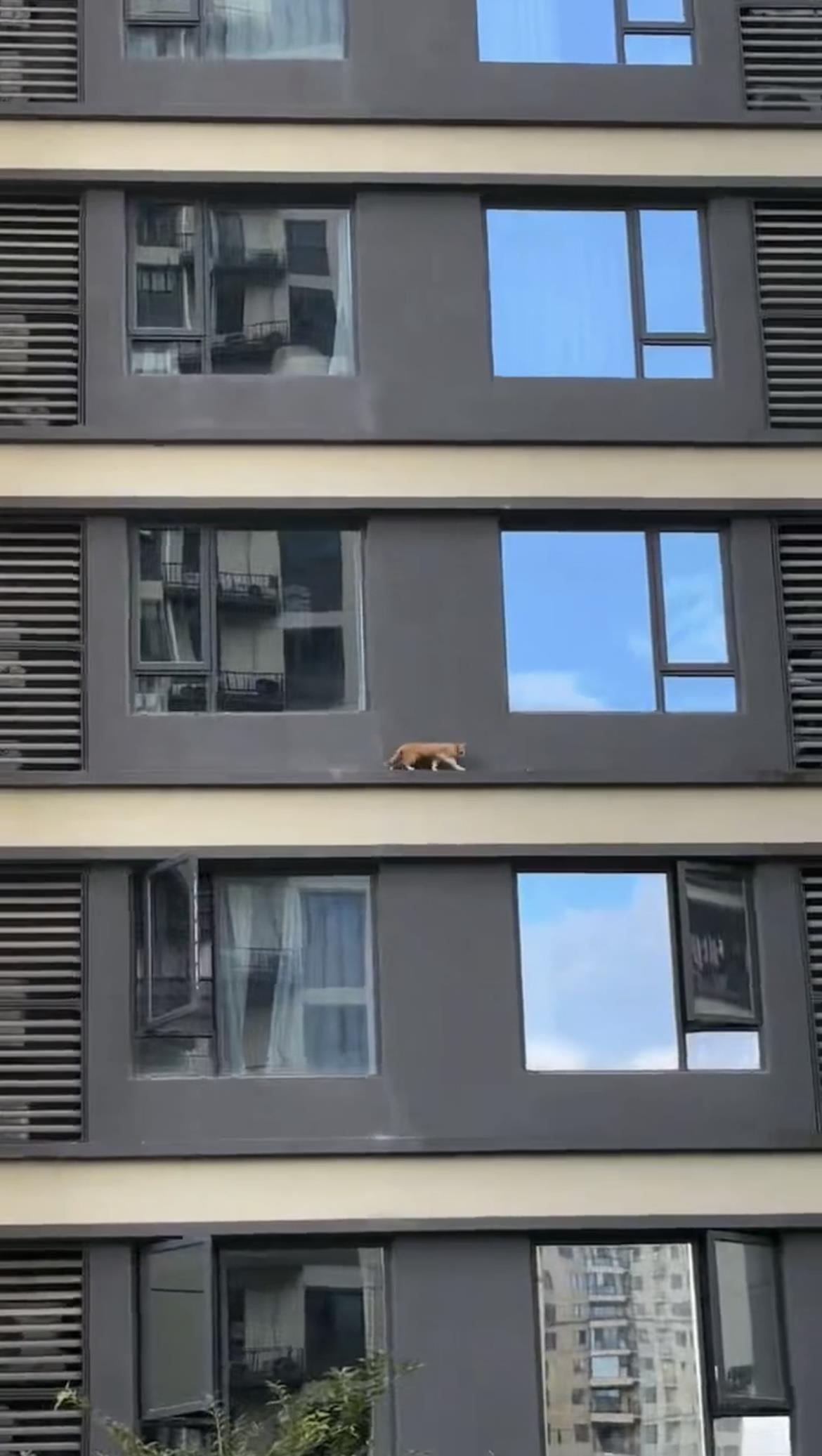 IMG_2951(20250704-175748).jpg IMG_2951(20250704-175748).jpg