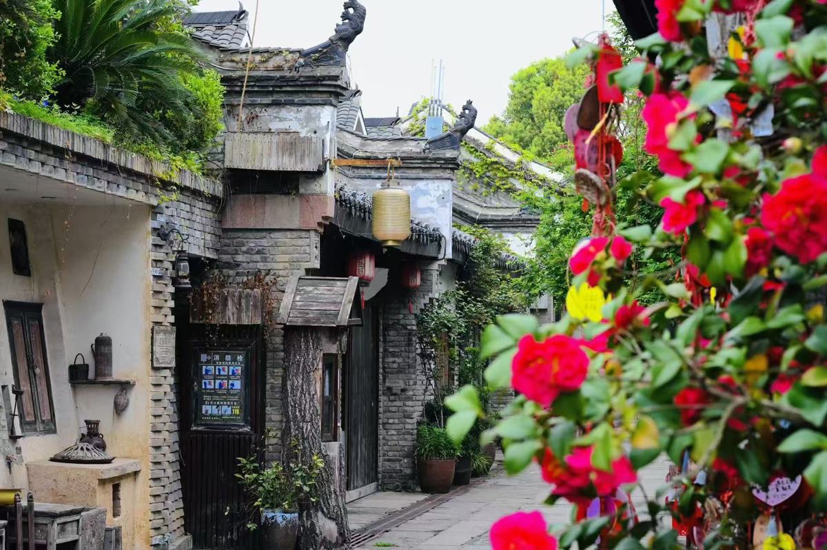 莫愁村春意盎然 方瑞 摄.jpg