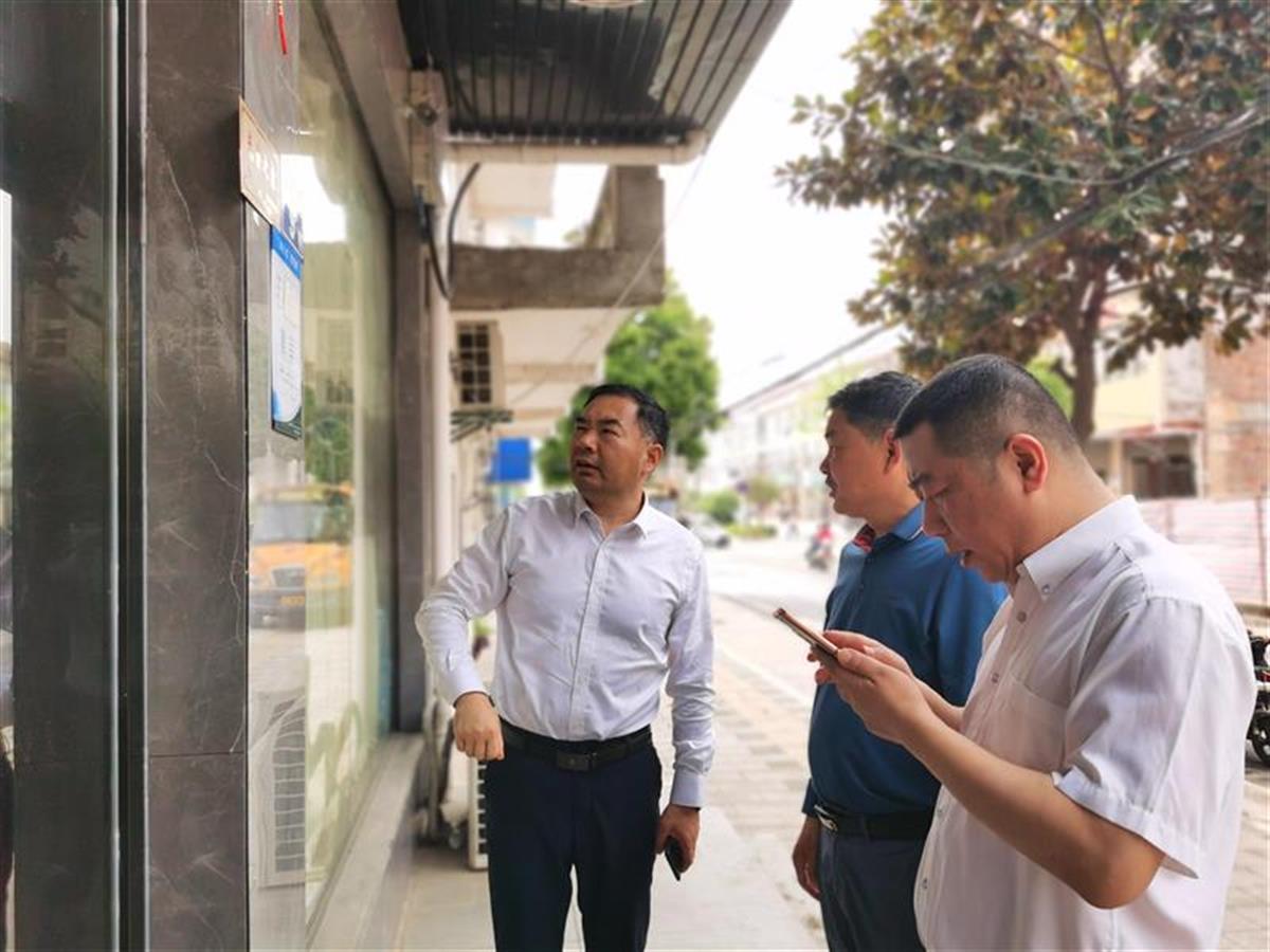 优化责任网格,武汉新洲区提升路长制工作效能 | 极目新闻