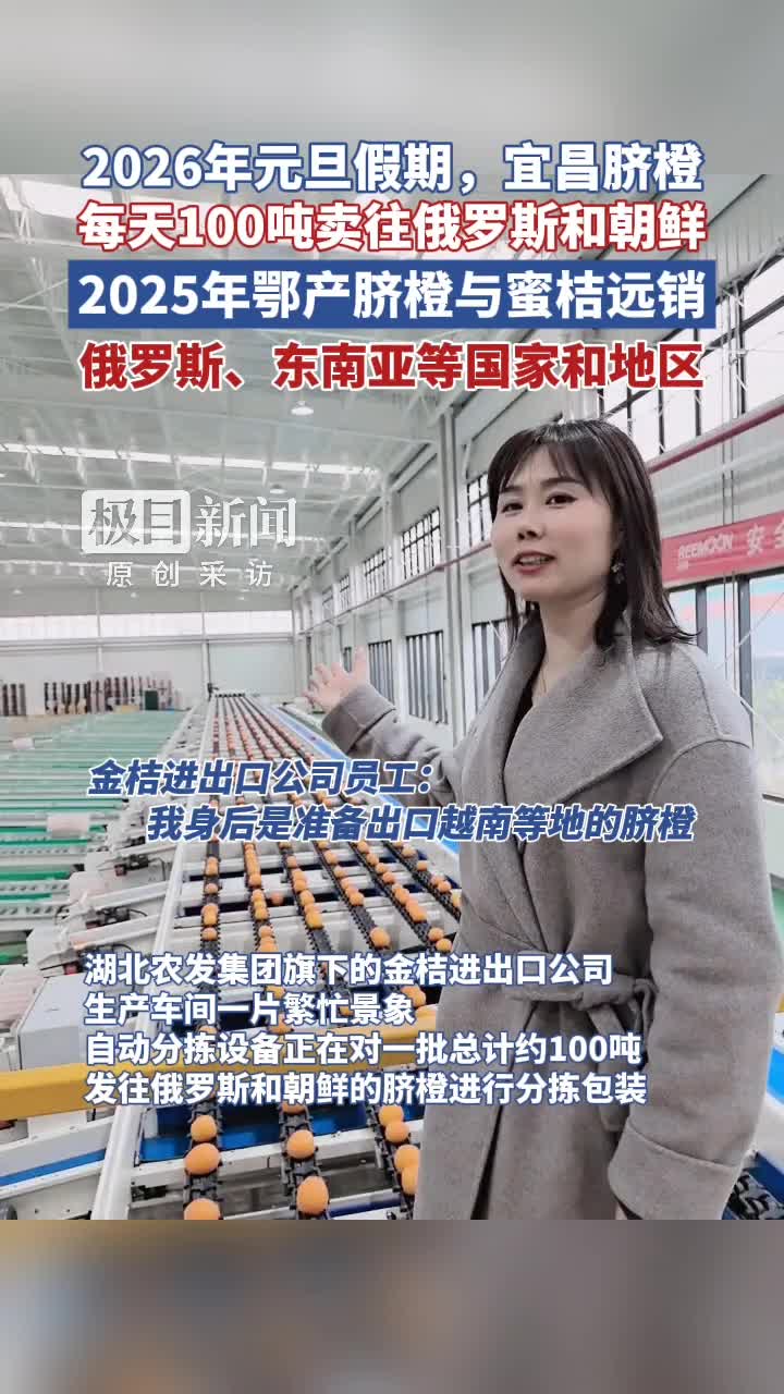 元旦假期，300吨鄂产脐橙销往俄罗斯和朝鲜| 极目新闻