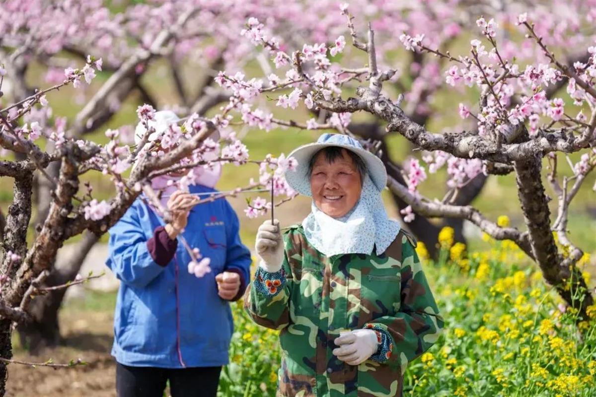 微信图片_20250328105507.jpg 微信图片_20250328105507.jpg