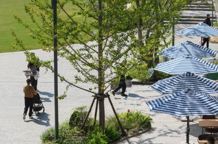 图片6.png 图片6.png