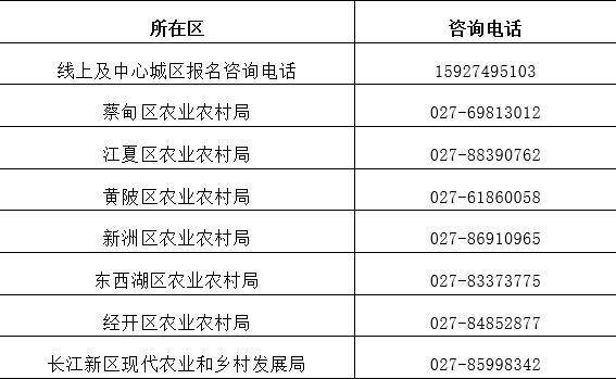 武汉市报名咨询方式.png 武汉市报名咨询方式.png