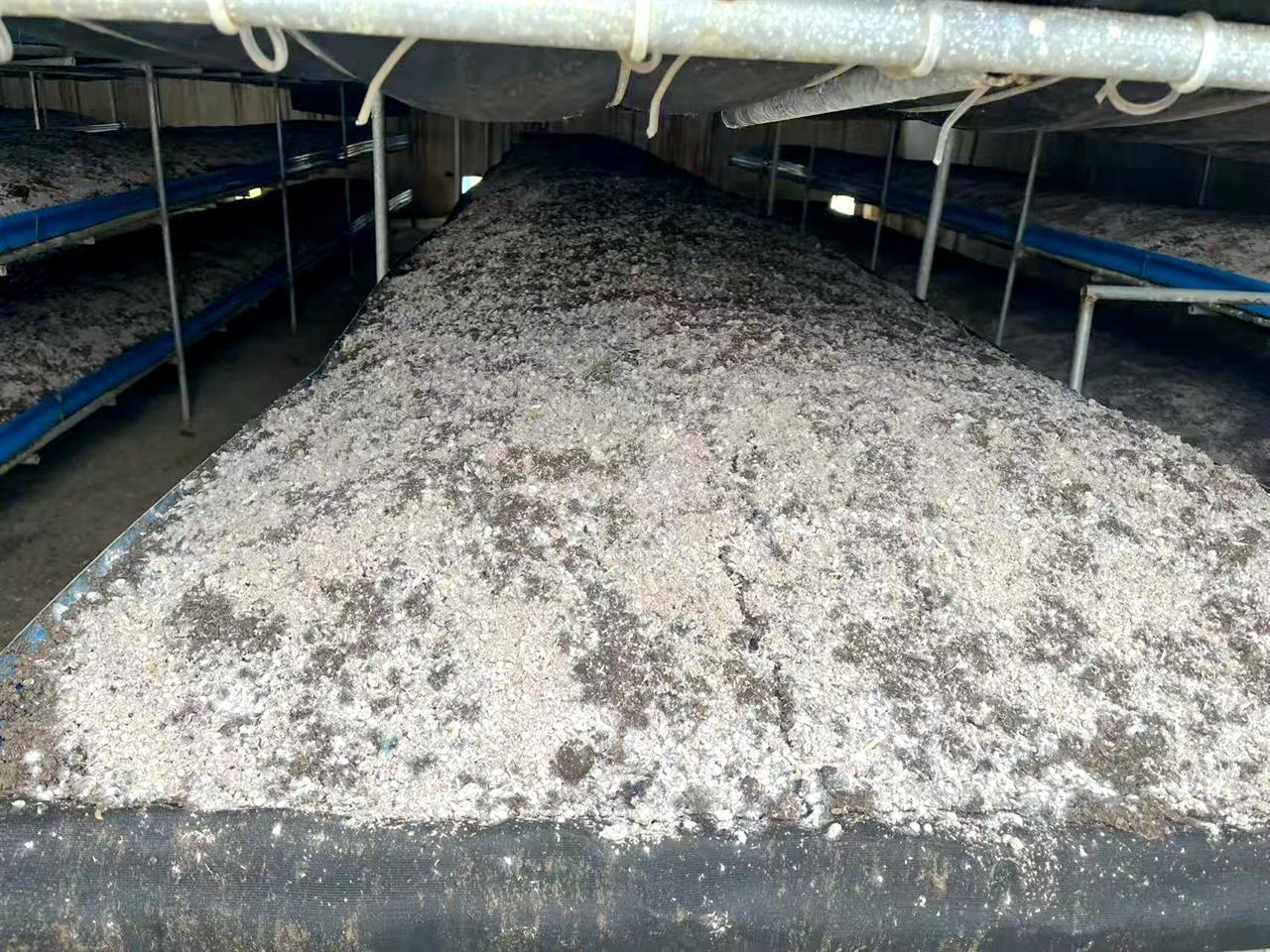 微信图片_20251013154118_169_416.jpg 微信图片_20251013154118_169_416.jpg